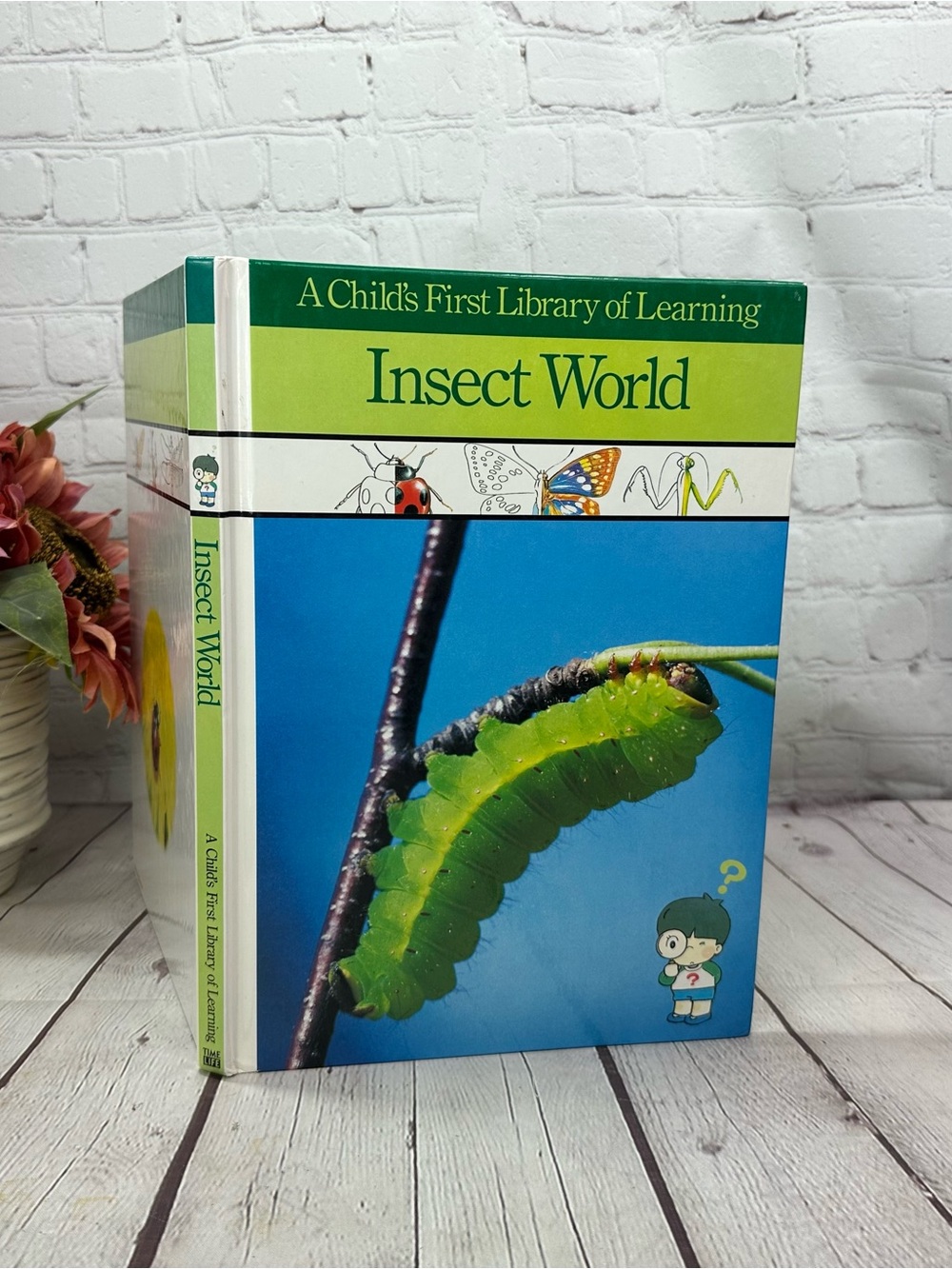 vtg time life insect world hardcover children Book 1988 ladybug spider ant bee